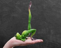 Get-a-Leg-Up-on-the-Competition